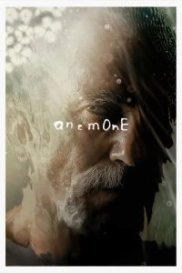 Anêmona